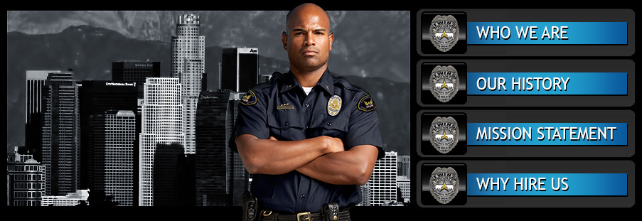 Armed Security Services