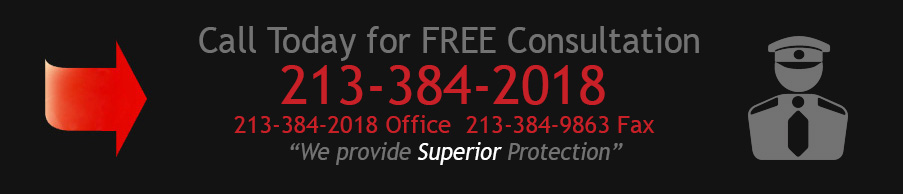 Commercial Security Services