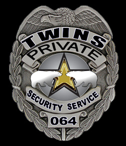 Twins Security Inc Logo
